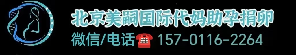 同性恋如何试管婴儿